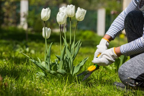 Operative starting lawn mower in a Teddington garden
